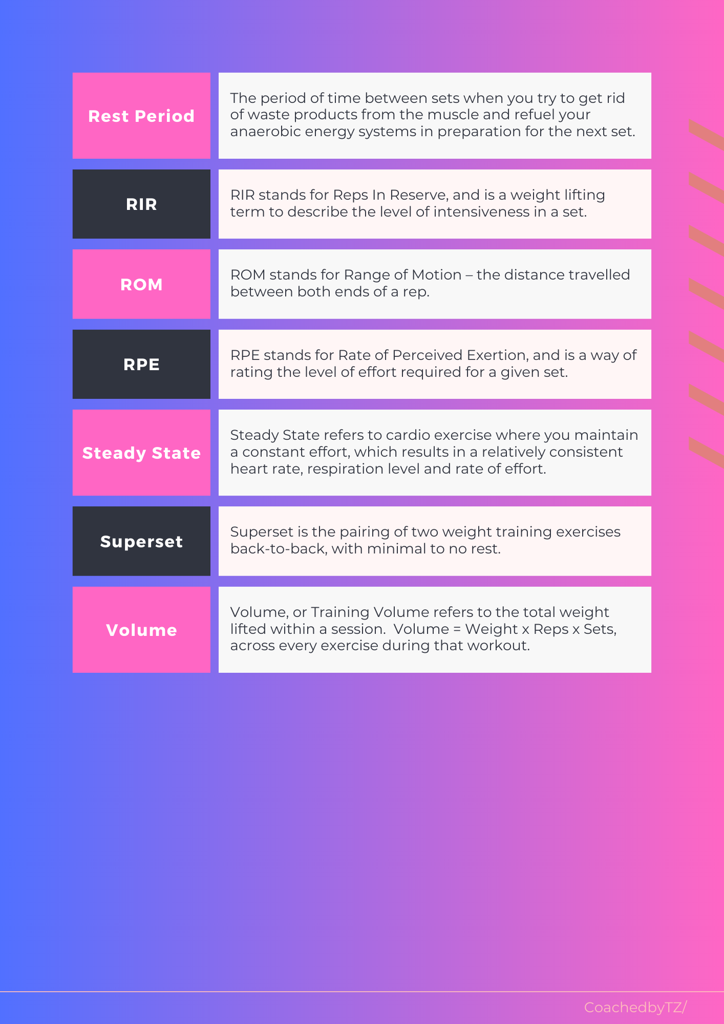 Muscle Building Program CoachedbyTZ muscle-building-program-coachedbytz