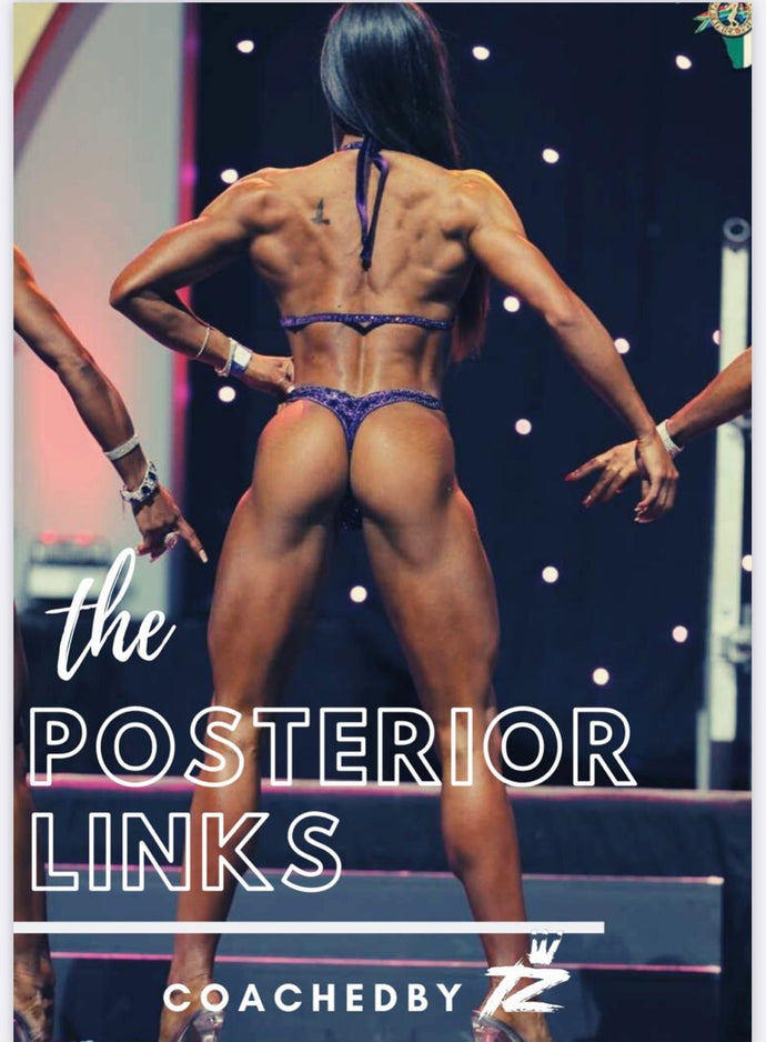 The Posterior Links eBook